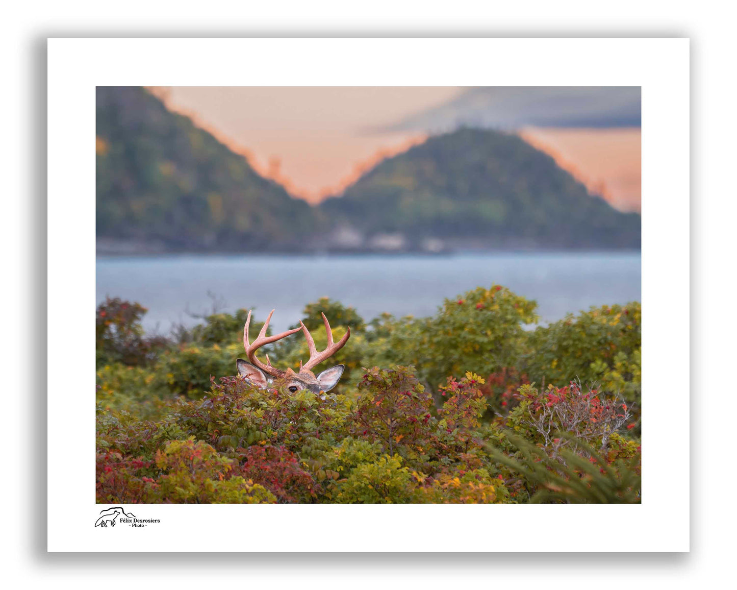 Caché dans le décor