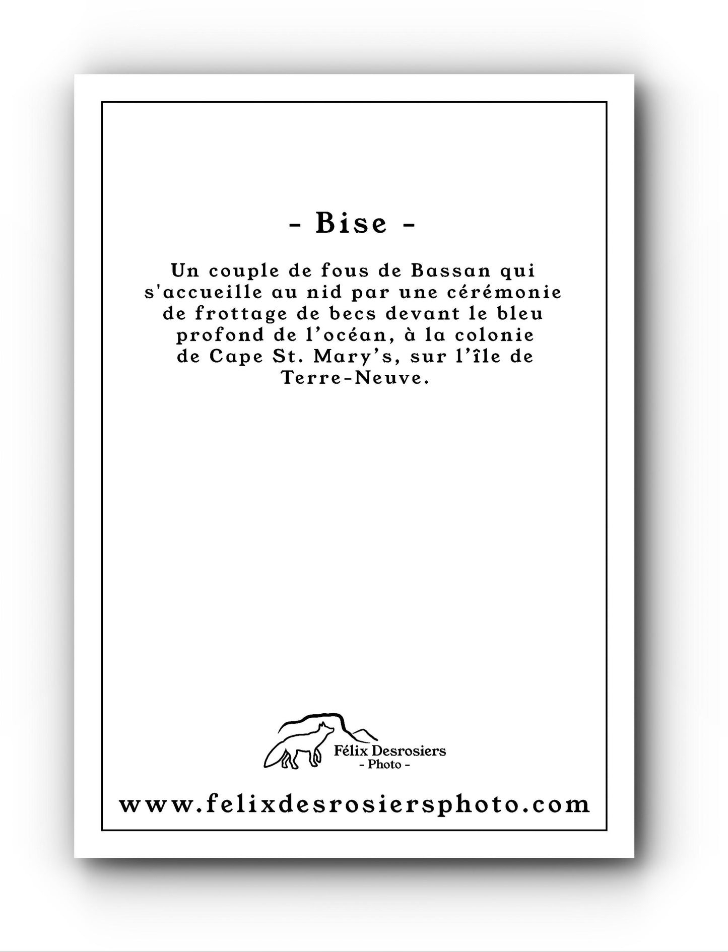 Bise - Carte de souhait