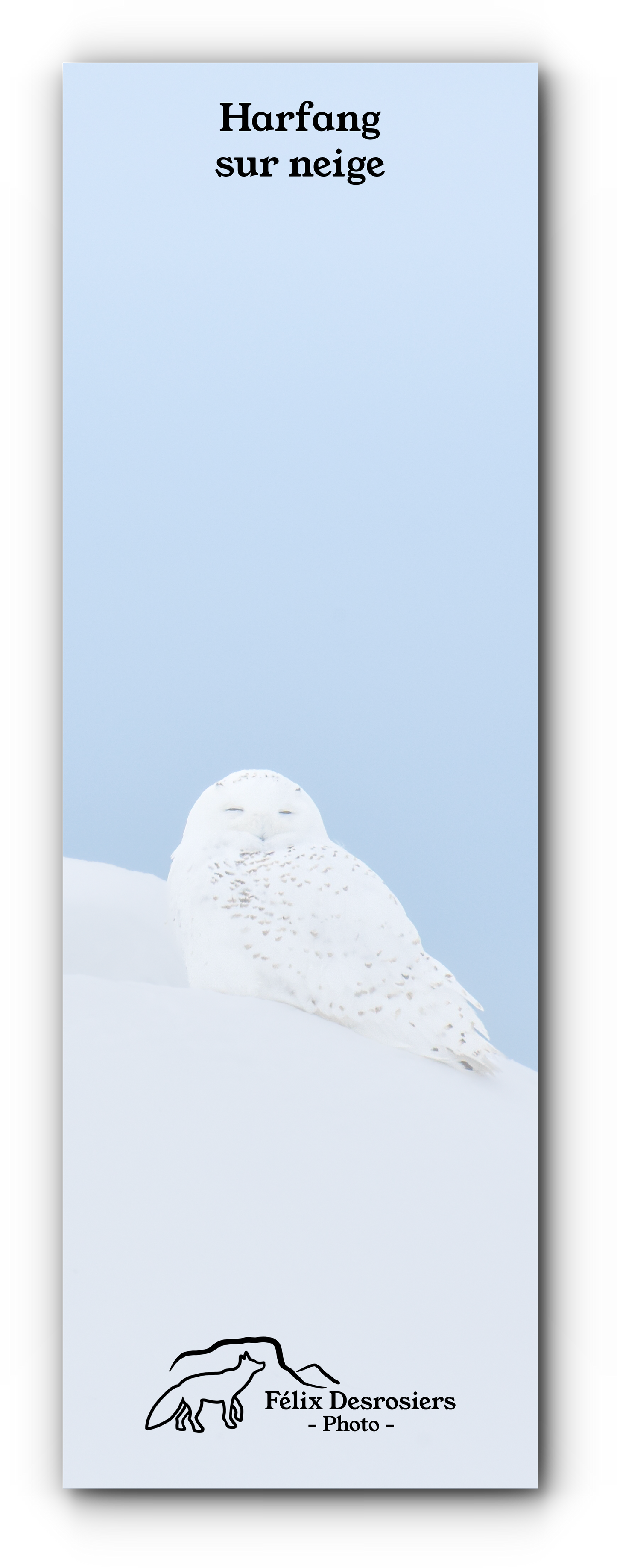 Harfang sur neige - Signet