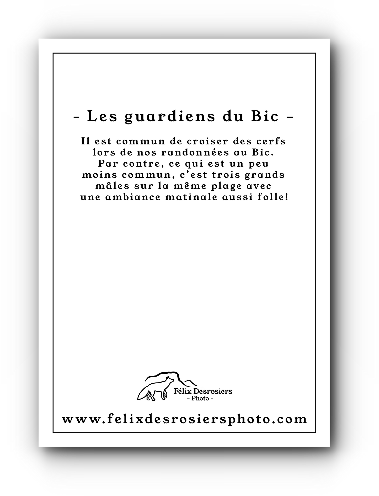 Les gardiens du Bic - Carte de souhait
