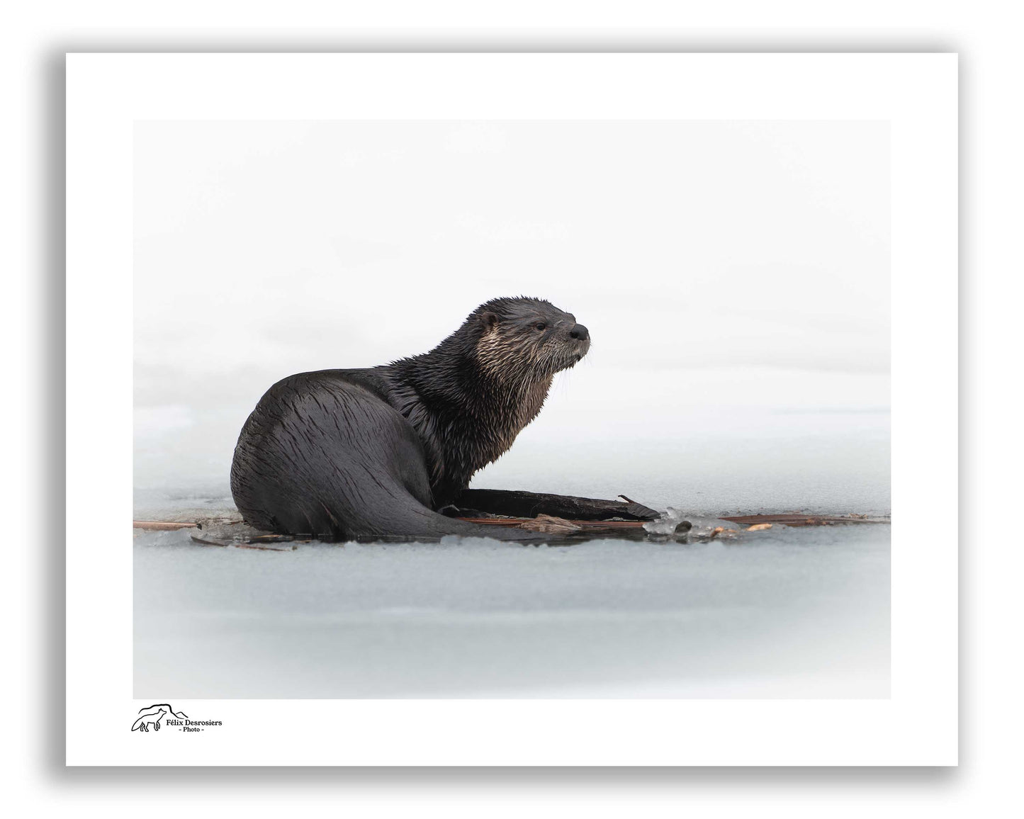 Sur la glace