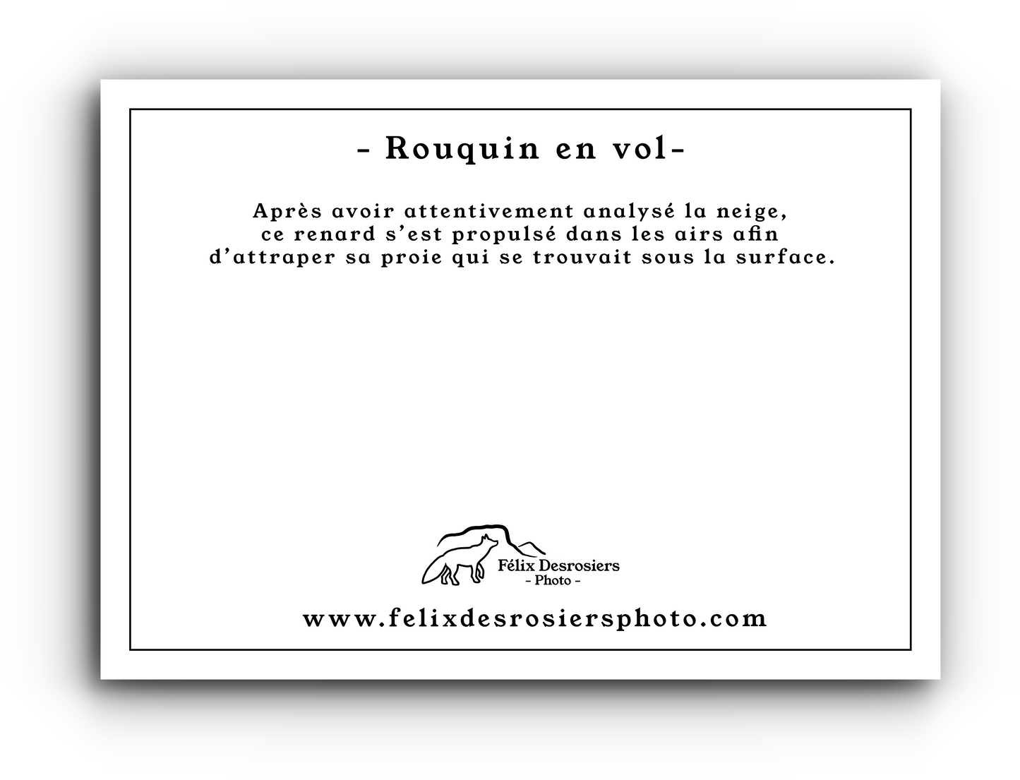Rouquin en vol - Carte de souhait