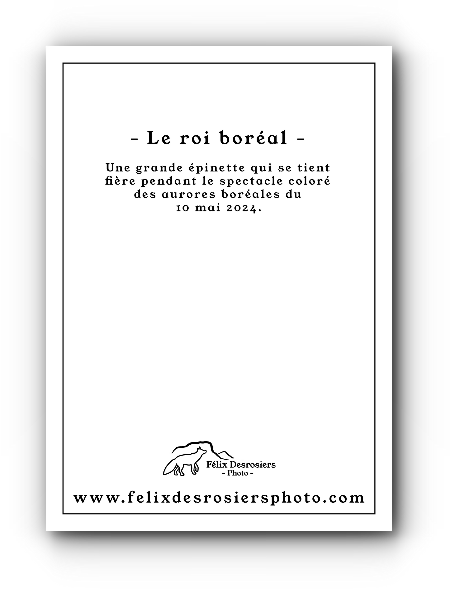 Le roi boréal - Carte de souhait