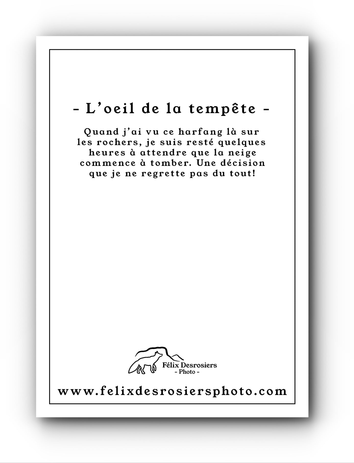 L'oeil de la tempête - Carte de souhait