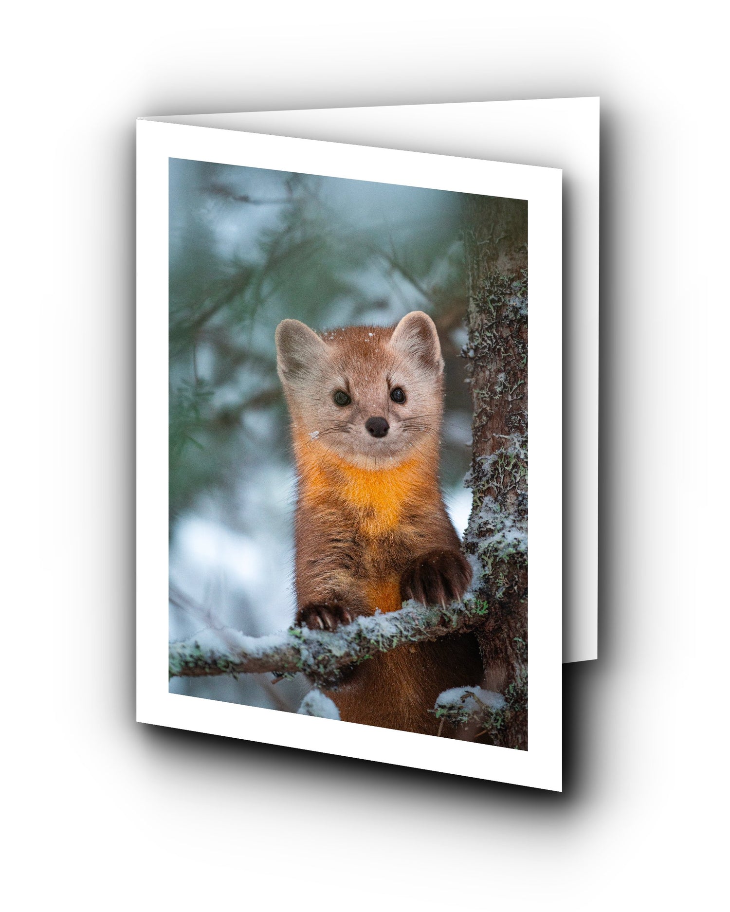 Cartes de souhaits