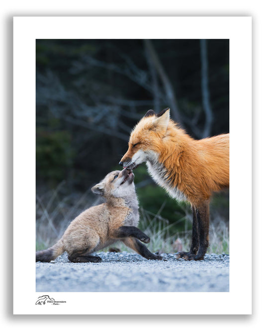Amour maternel