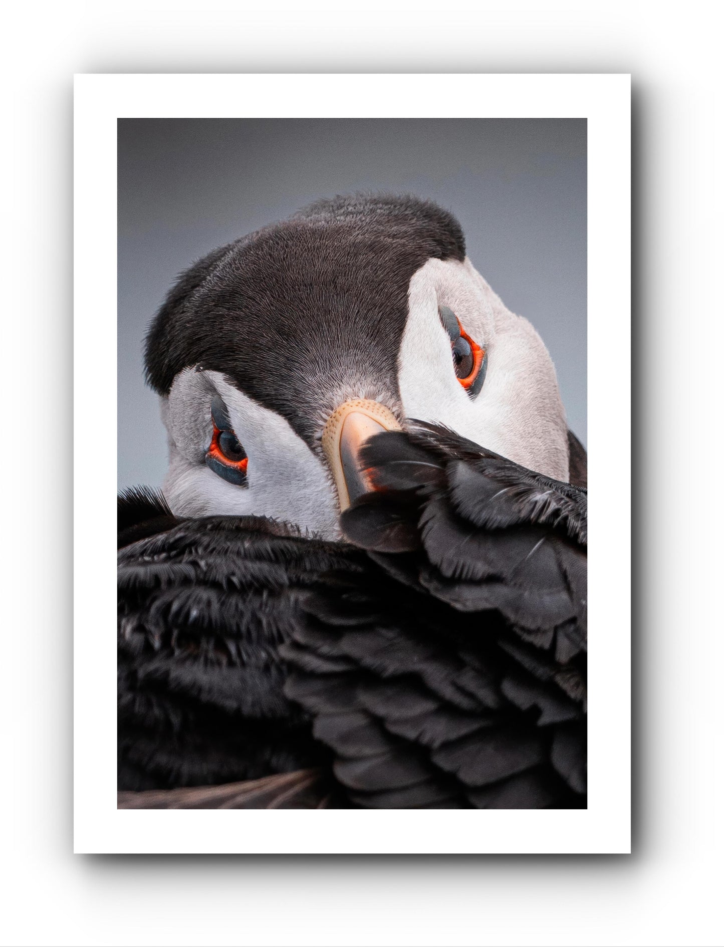 Au chaud - Carte de souhait