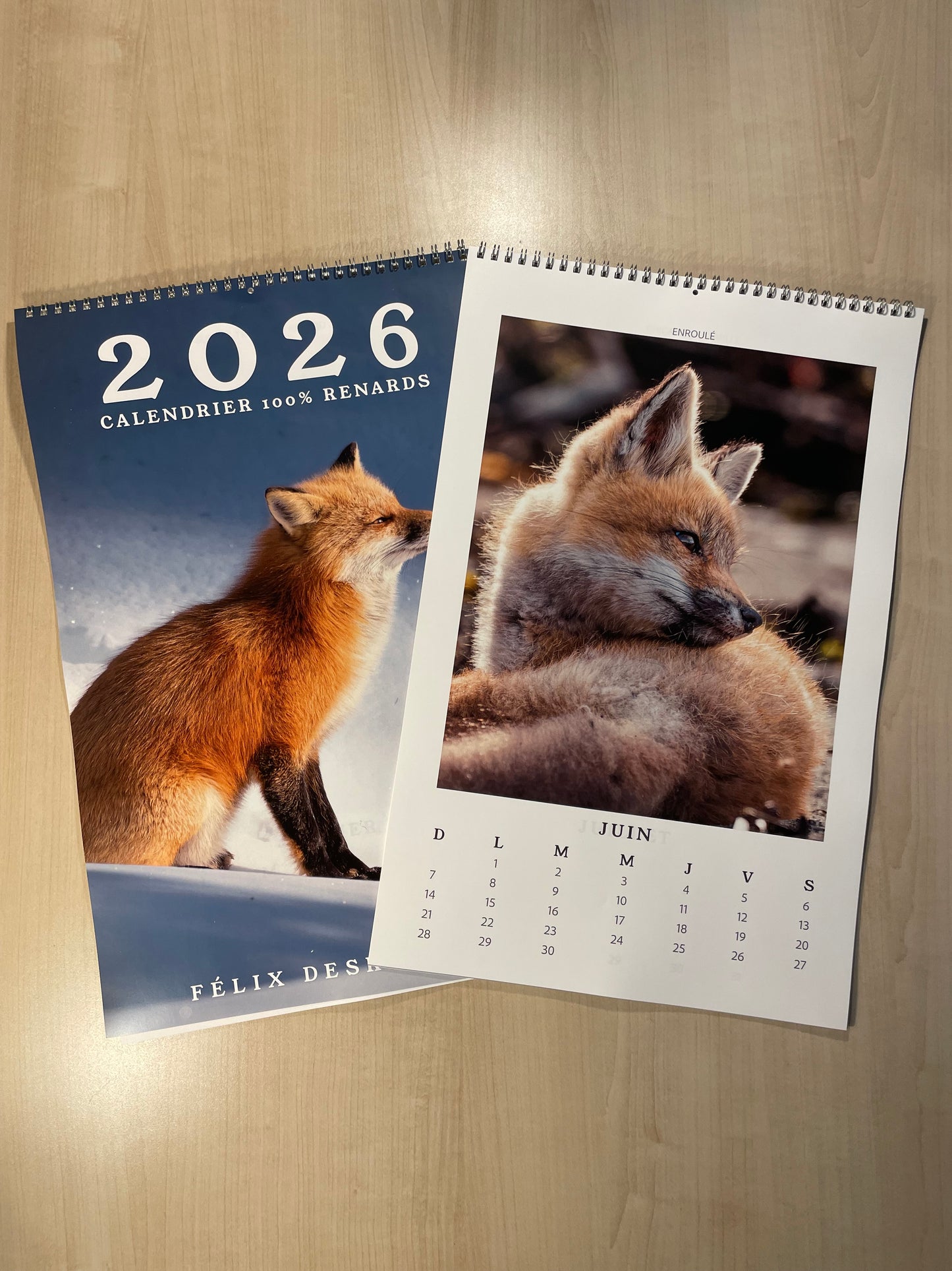 Calendrier 2026 - 100% renards