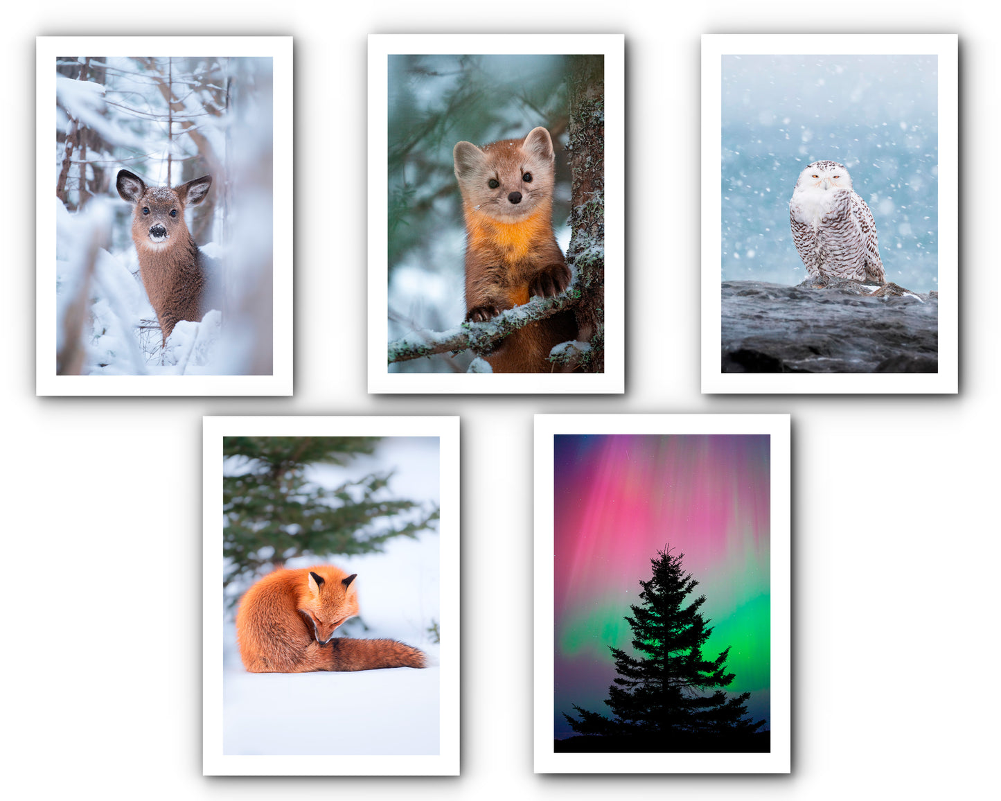 Ensemble de cartes de souhait hivernales (5)