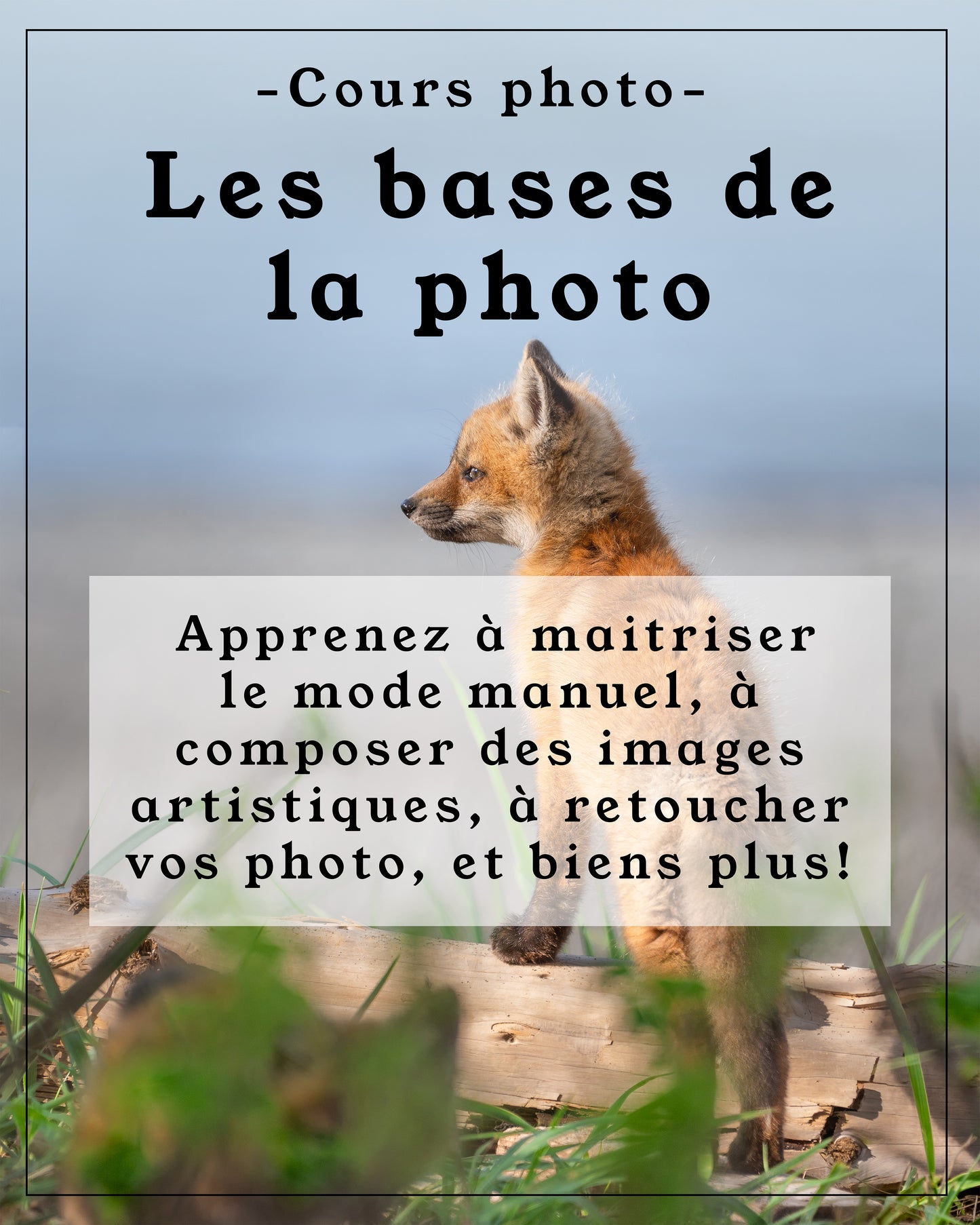 Les bases de la photographie - cours photo