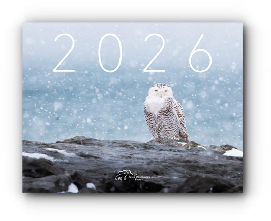 Calendrier 2026 - standard