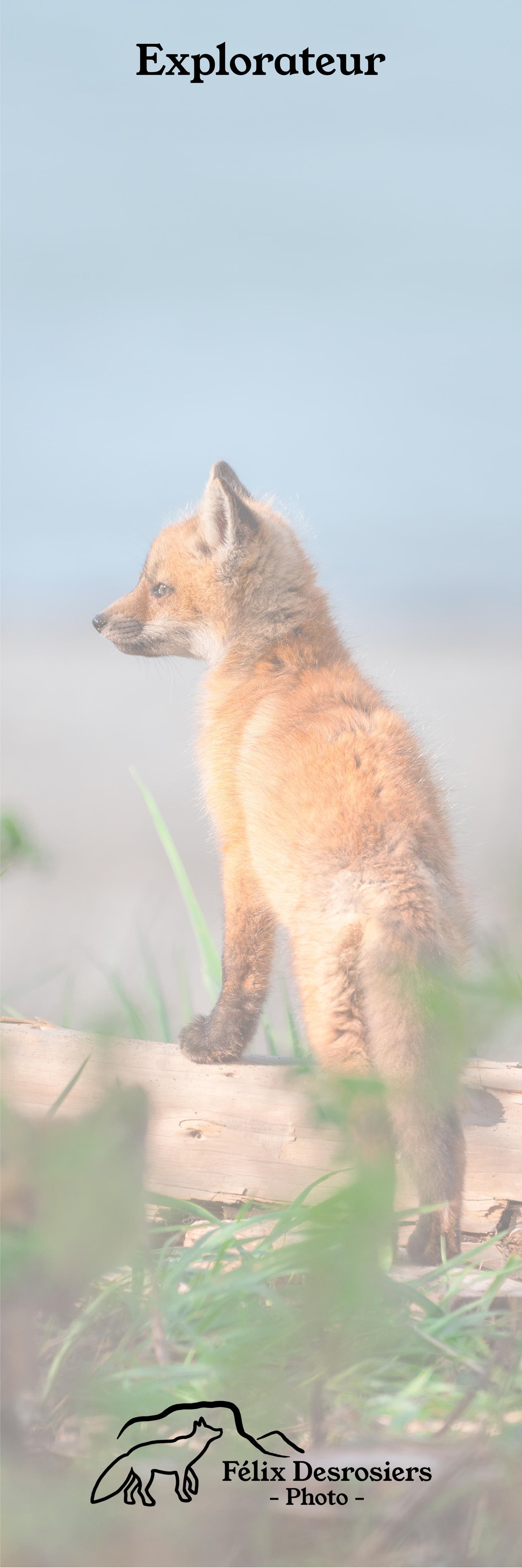 Explorateur - Signet