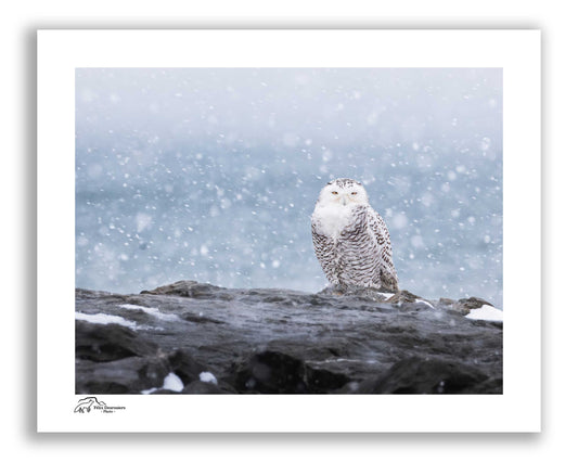 L'oeil de la tempête - Horizontal