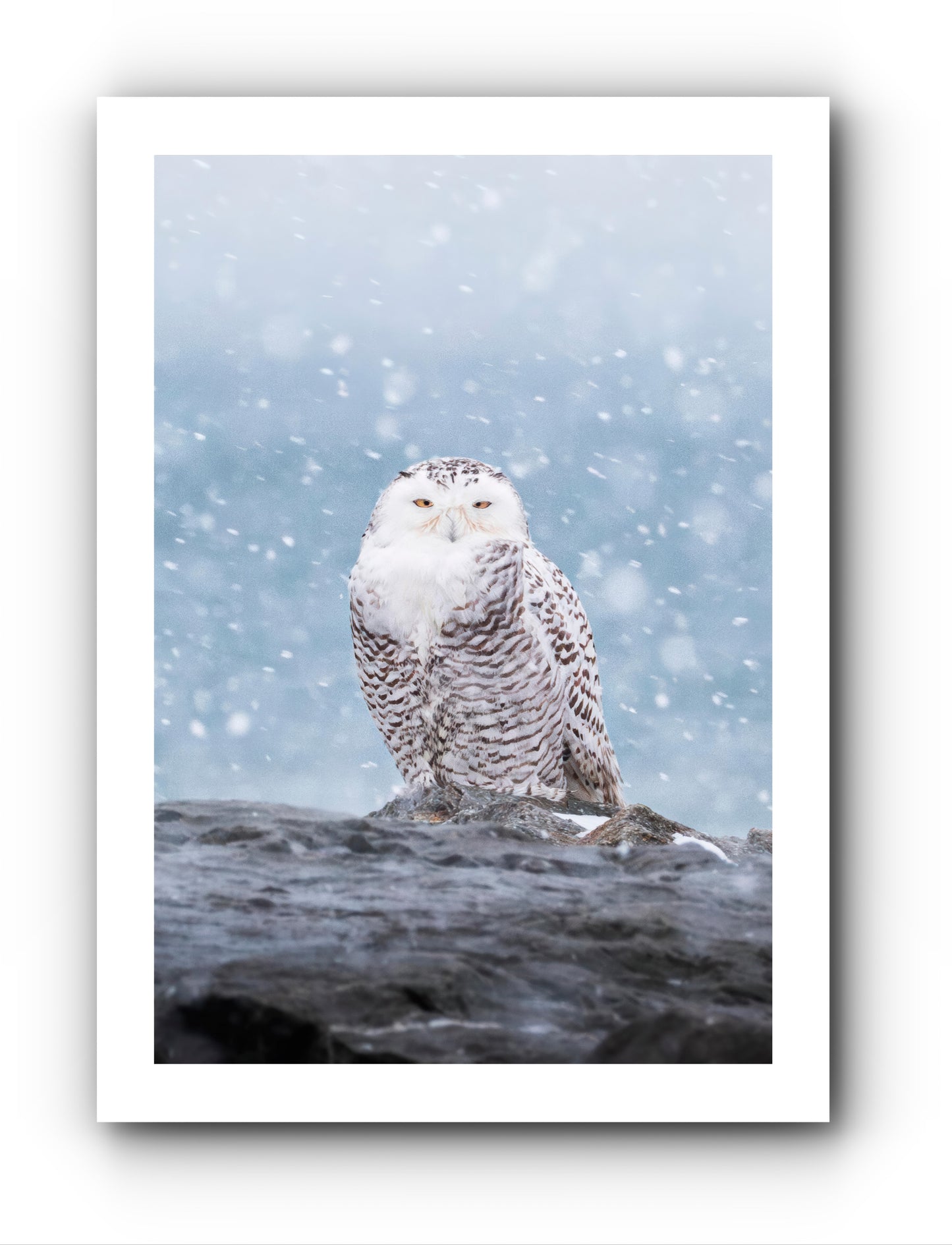 L'oeil de la tempête - Carte de souhait