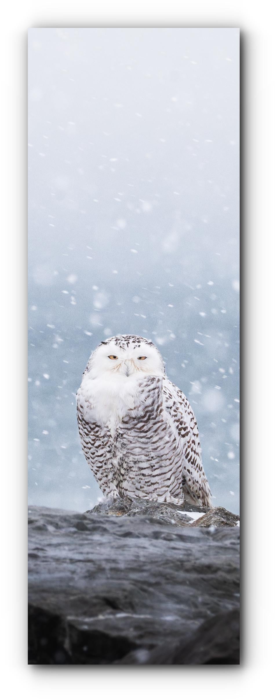 L'oeil de la tempête - Signet