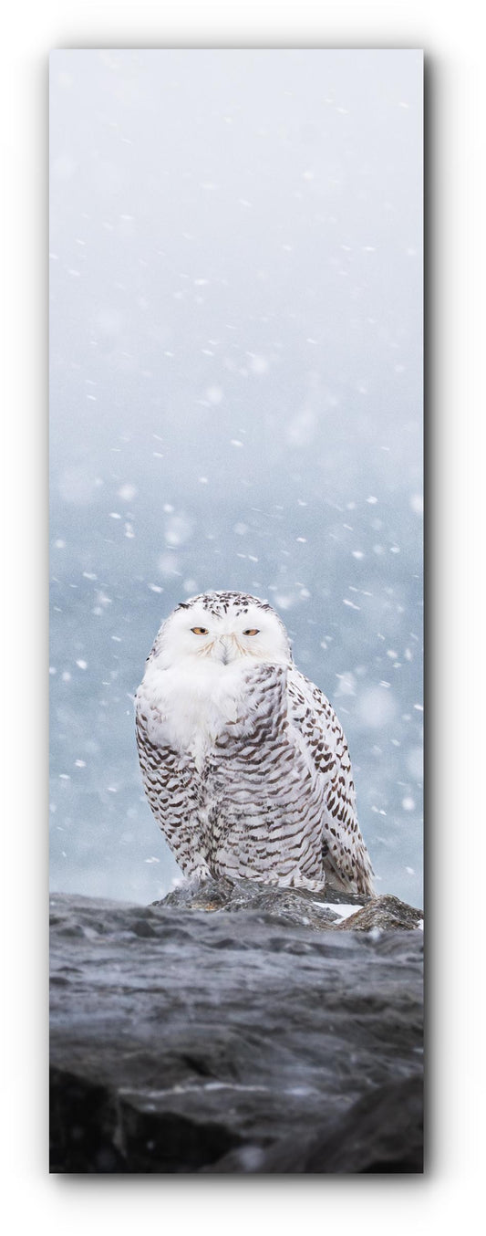 L'oeil de la tempête - Signet