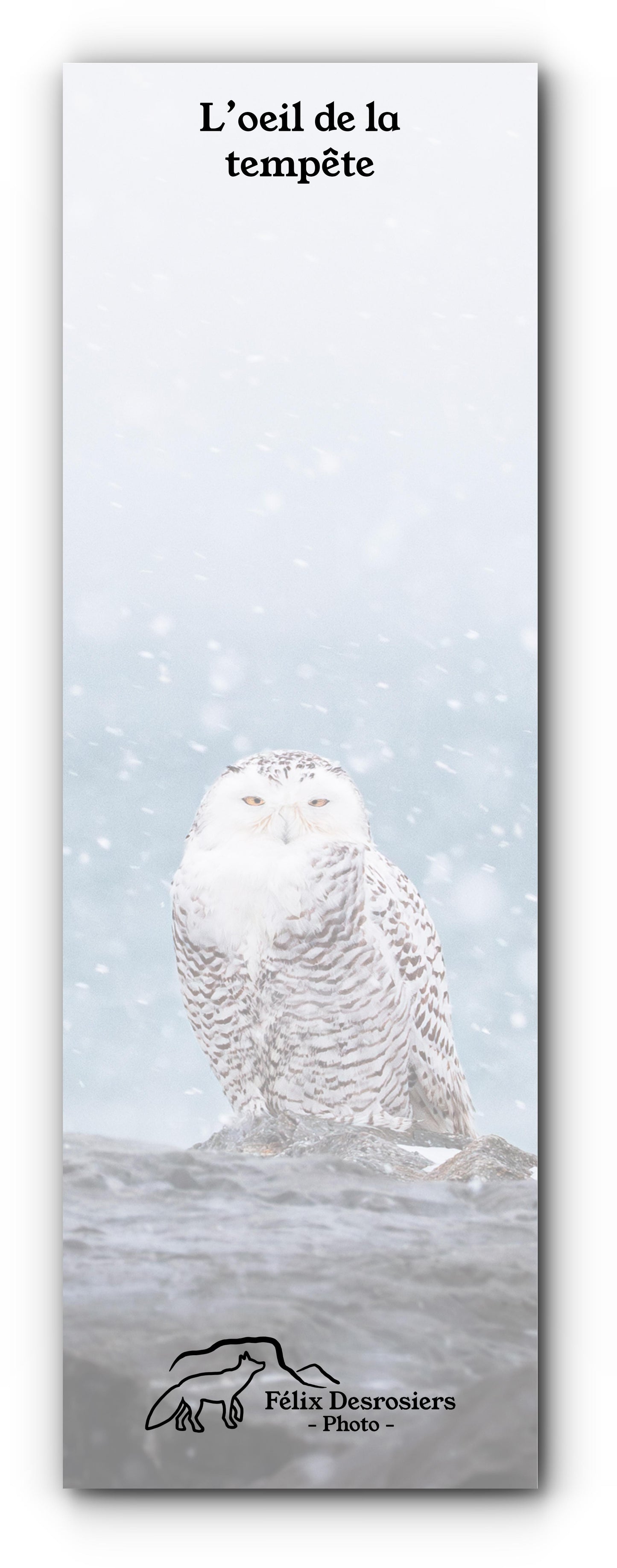 L'oeil de la tempête - Signet